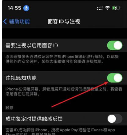 淮北苹果14维修网点分享iPhone14注视感知功能有什么用 